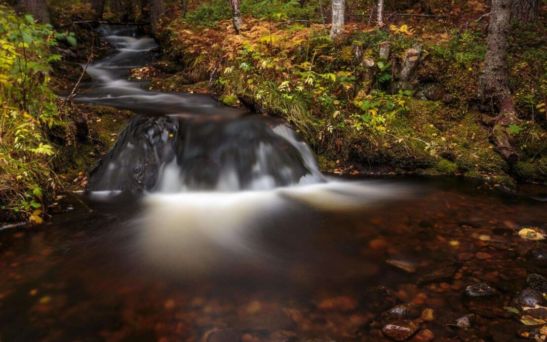 Naturstigen i Vemdalen